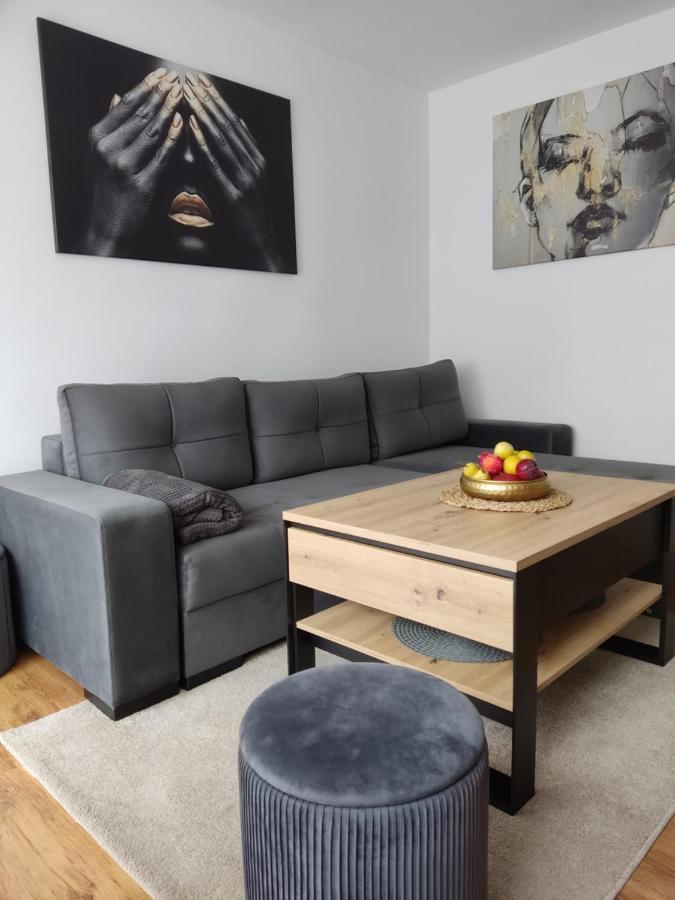 Apartament Janis Apartment Zator Exterior photo