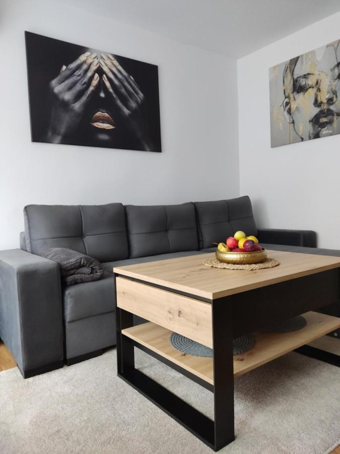 Apartament Janis Apartment Zator Exterior photo